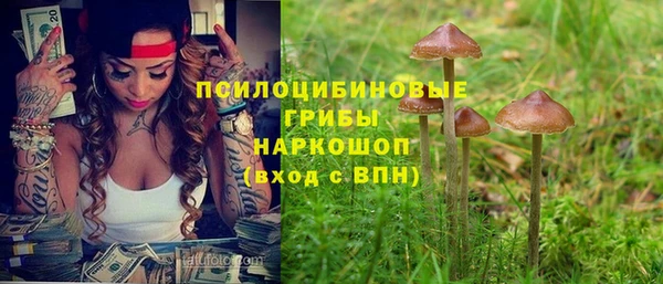 шишки Верхний Тагил